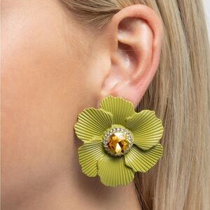 Organic Growth - Green